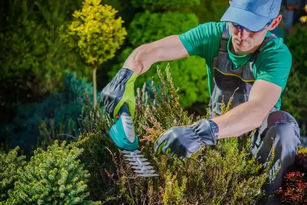 landscaping services Winnsboro